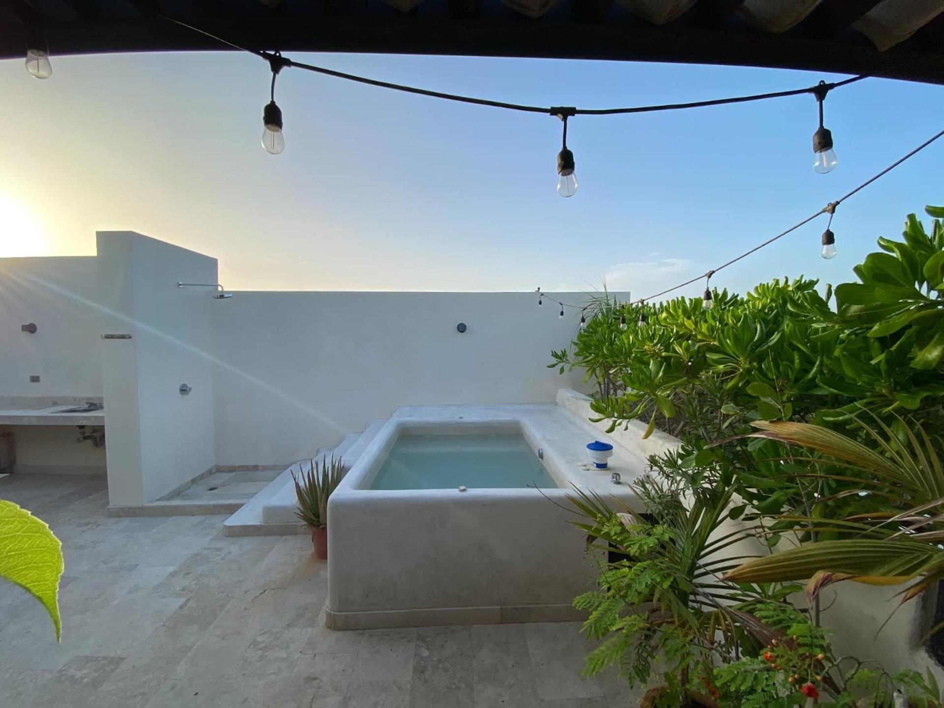 Tropical Haven - Luxury Apartment With Private Rooftop Pool And Amazing Pool View 图卢姆 外观 照片