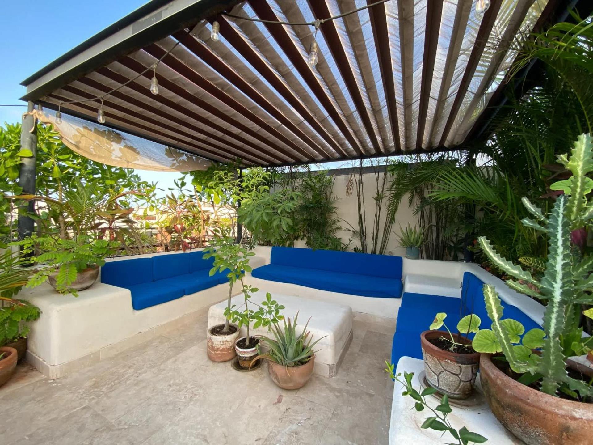 Tropical Haven - Luxury Apartment With Private Rooftop Pool And Amazing Pool View 图卢姆 外观 照片