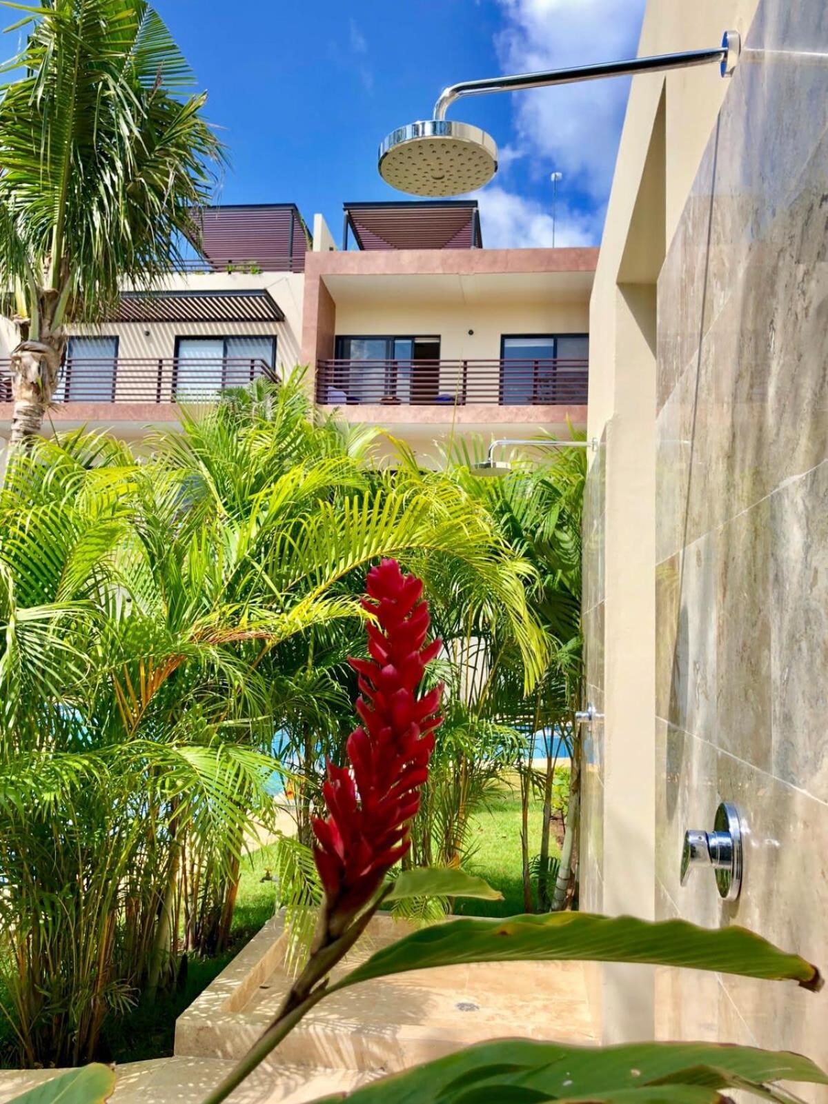 Tropical Haven - Luxury Apartment With Private Rooftop Pool And Amazing Pool View 图卢姆 外观 照片
