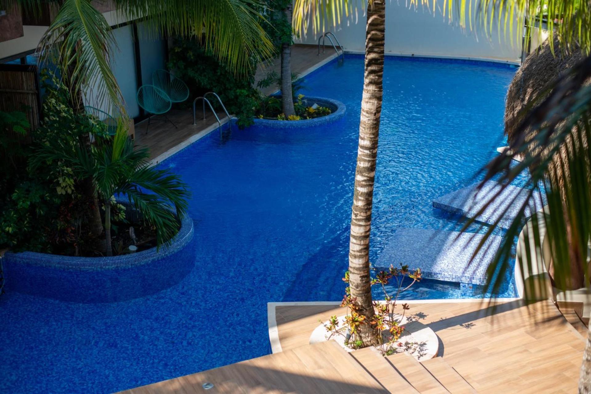 Tropical Haven - Luxury Apartment With Private Rooftop Pool And Amazing Pool View 图卢姆 外观 照片