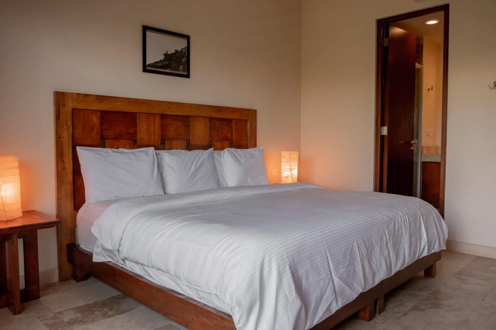 Tropical Haven - Luxury Apartment With Private Rooftop Pool And Amazing Pool View 图卢姆 外观 照片