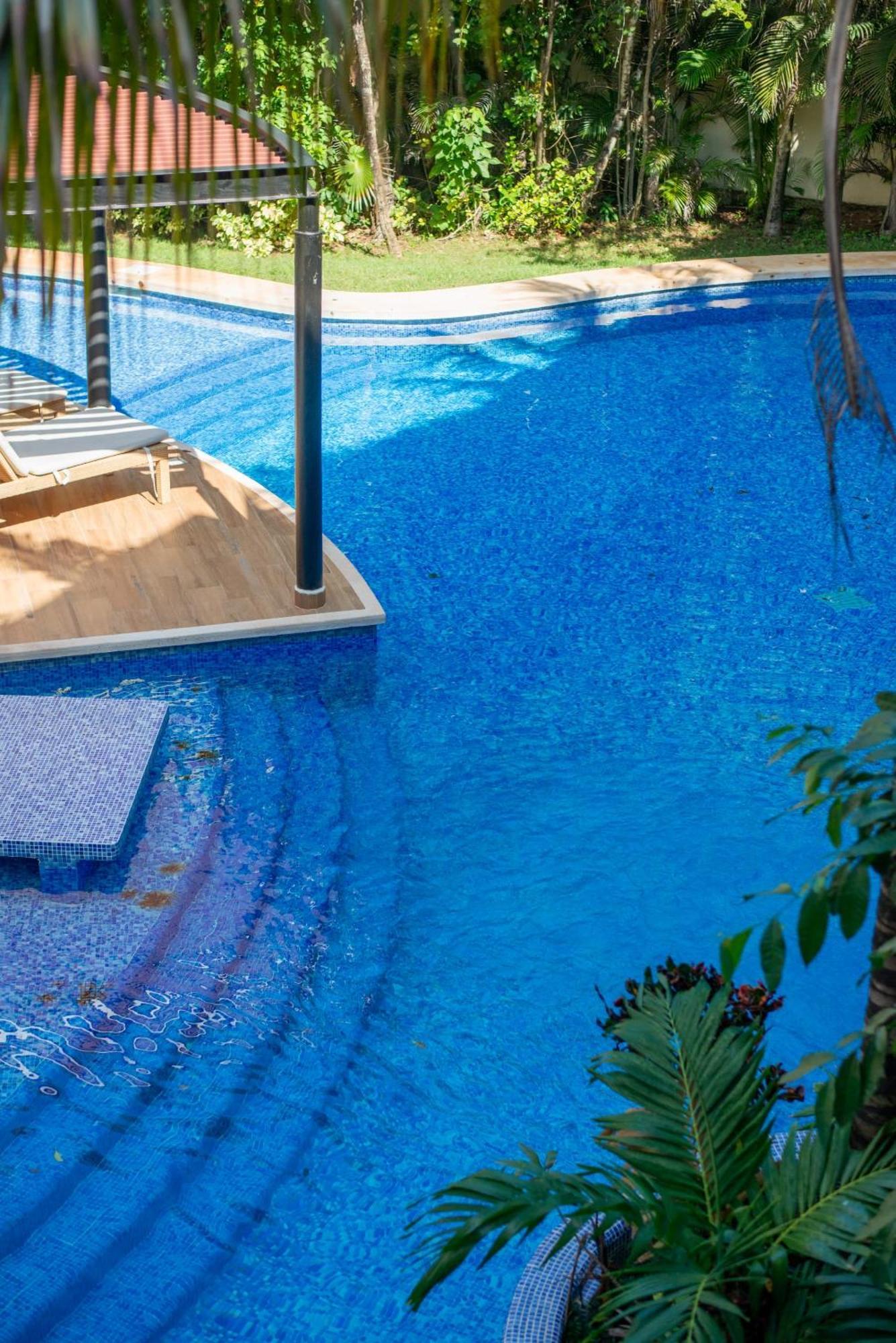 Tropical Haven - Luxury Apartment With Private Rooftop Pool And Amazing Pool View 图卢姆 外观 照片