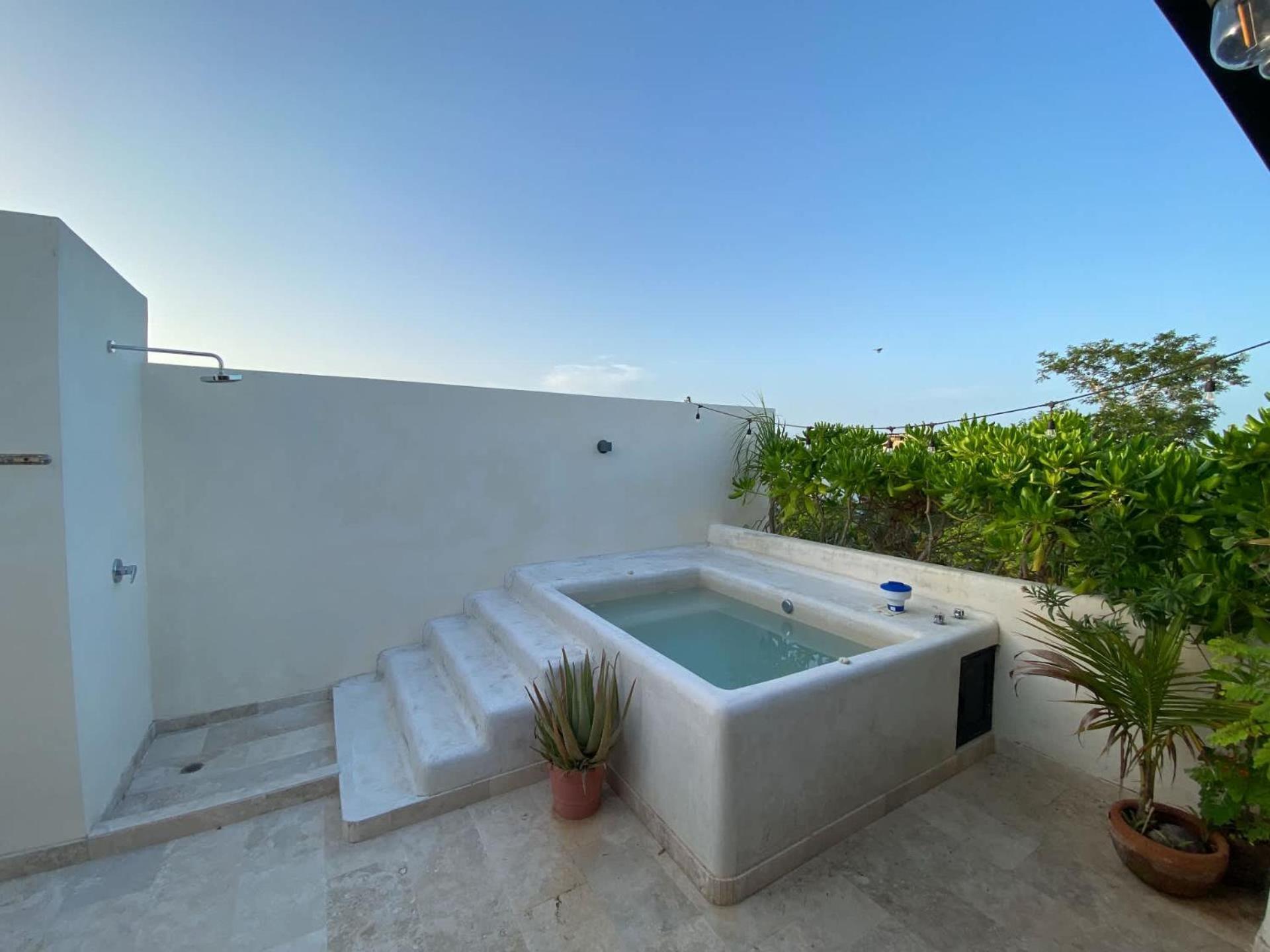 Tropical Haven - Luxury Apartment With Private Rooftop Pool And Amazing Pool View 图卢姆 外观 照片